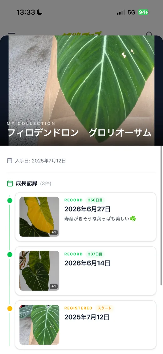 マイ植物棚と成長記録